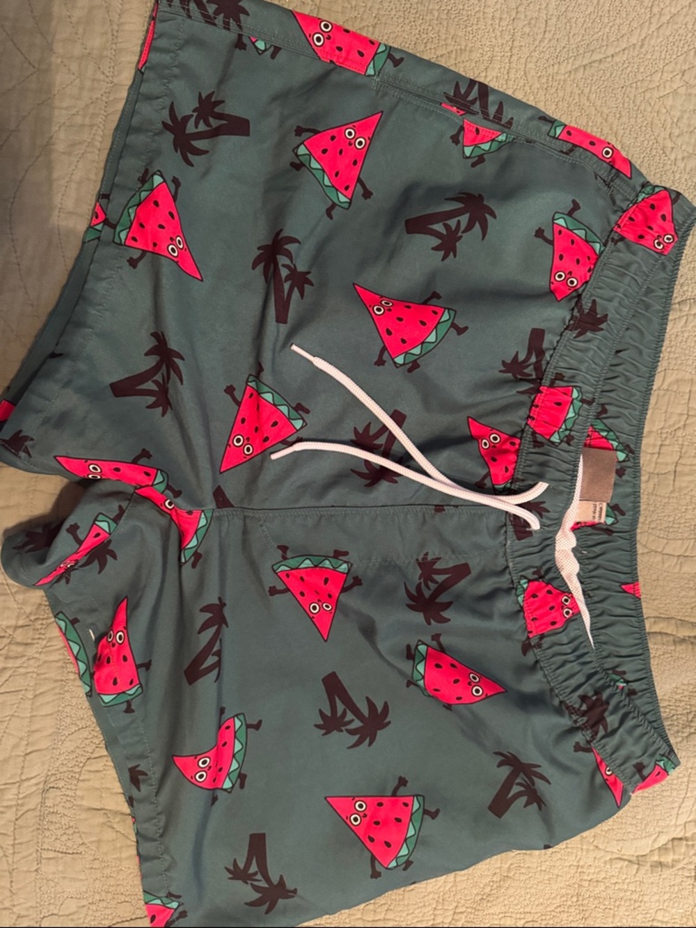 ASOS Mens Dark Green Swim Shorts with Red watermelon Floral Print